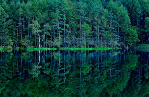 長野県の最新アフィリエイト情報